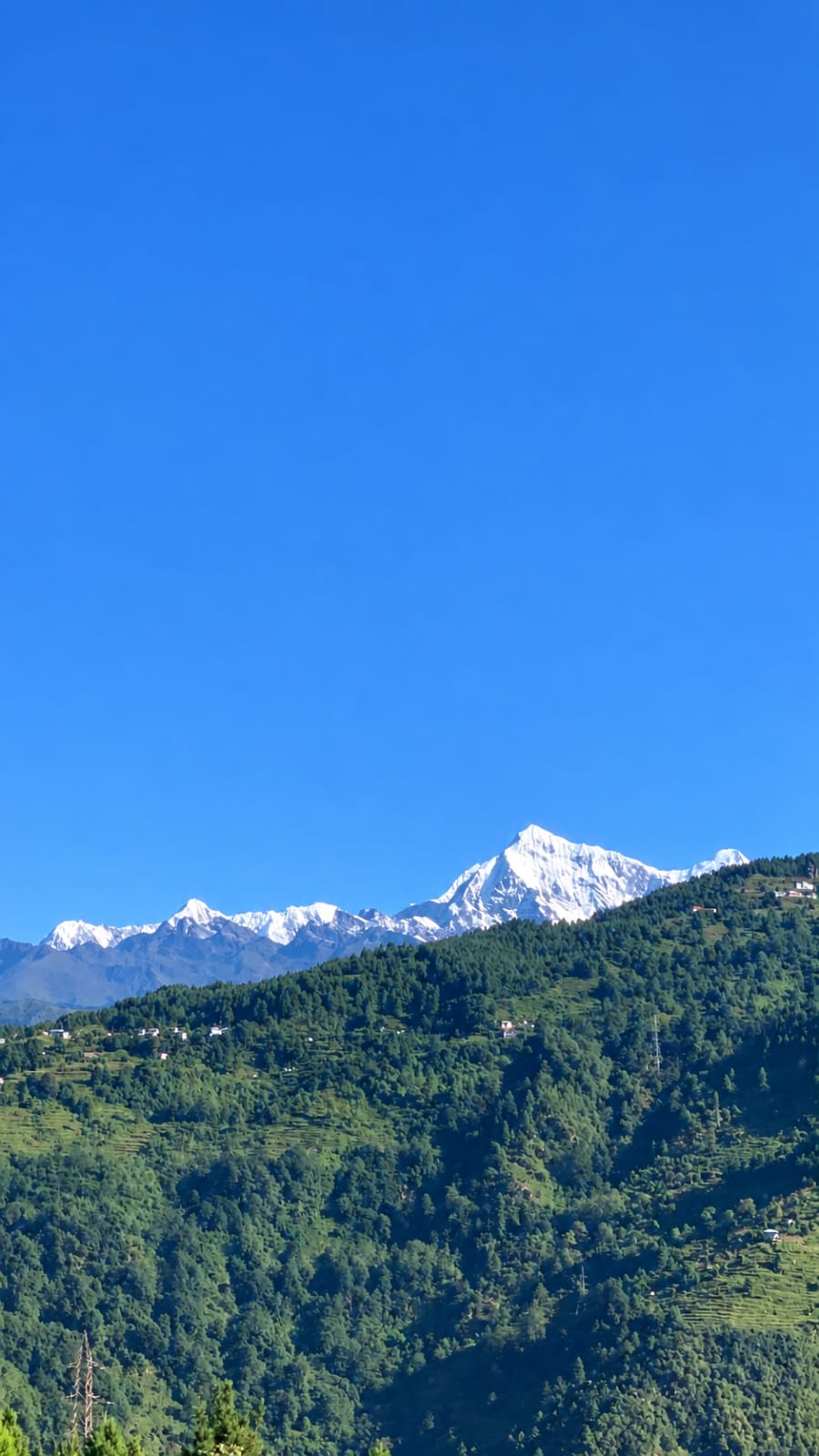 apple farming site view